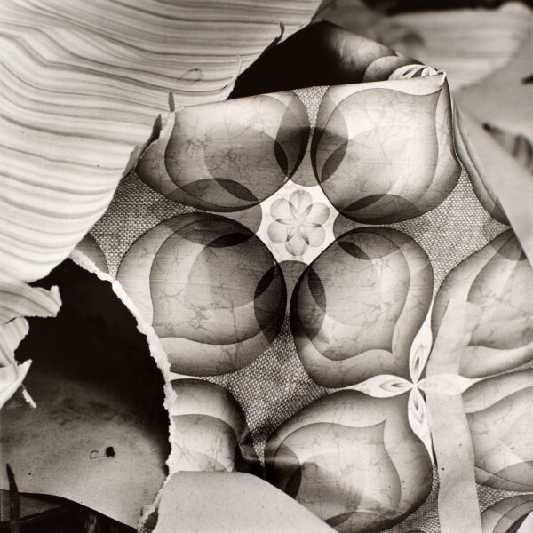 Gunter Glücklich Photography - Abstract - Portfolio