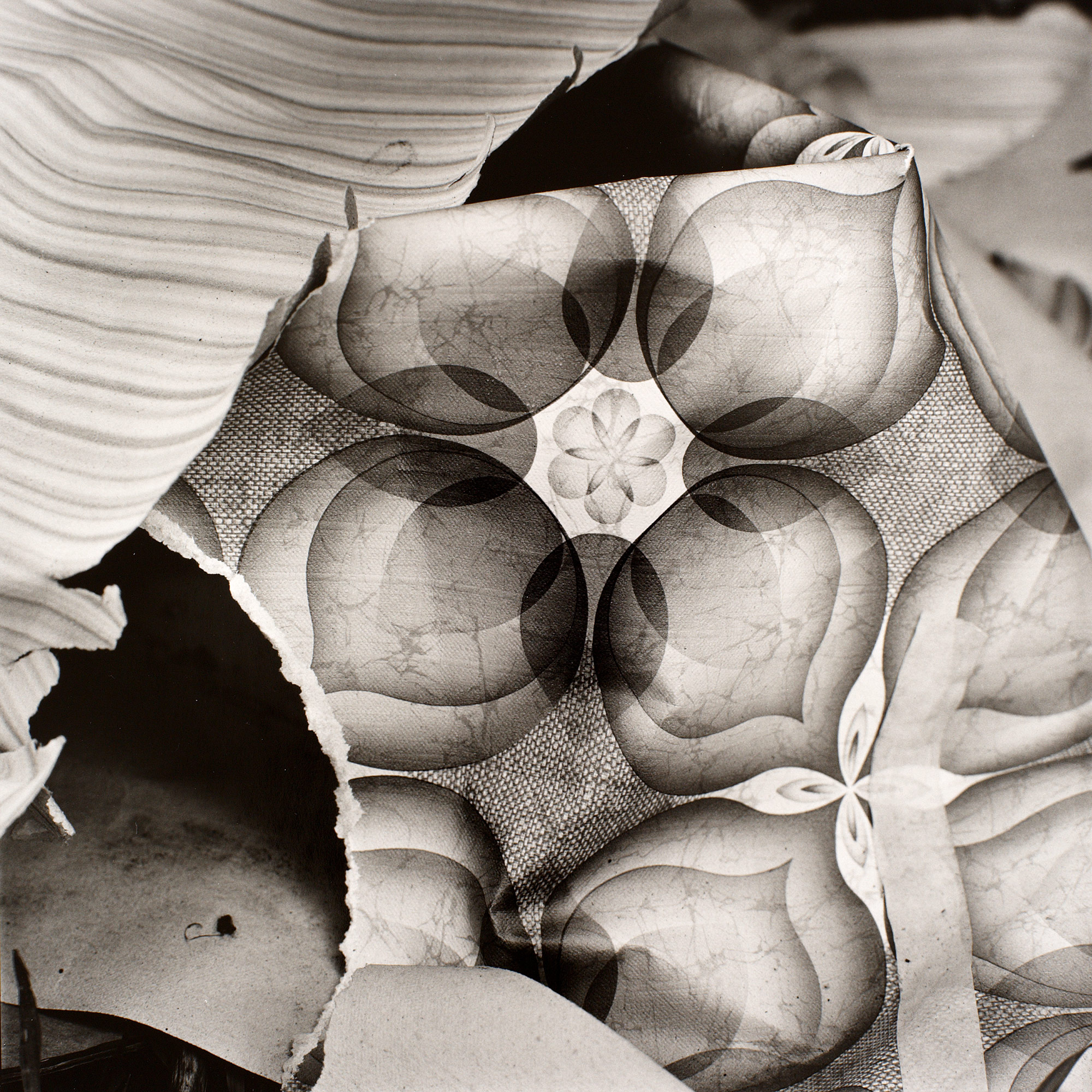 Gunter Glücklich Photography - Abstract - Portfolio