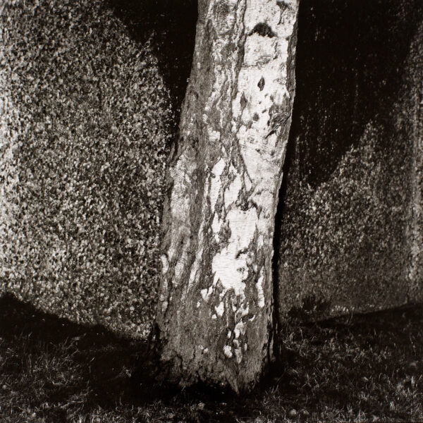 Gunter Glücklich Photography - Abstract - Portfolio