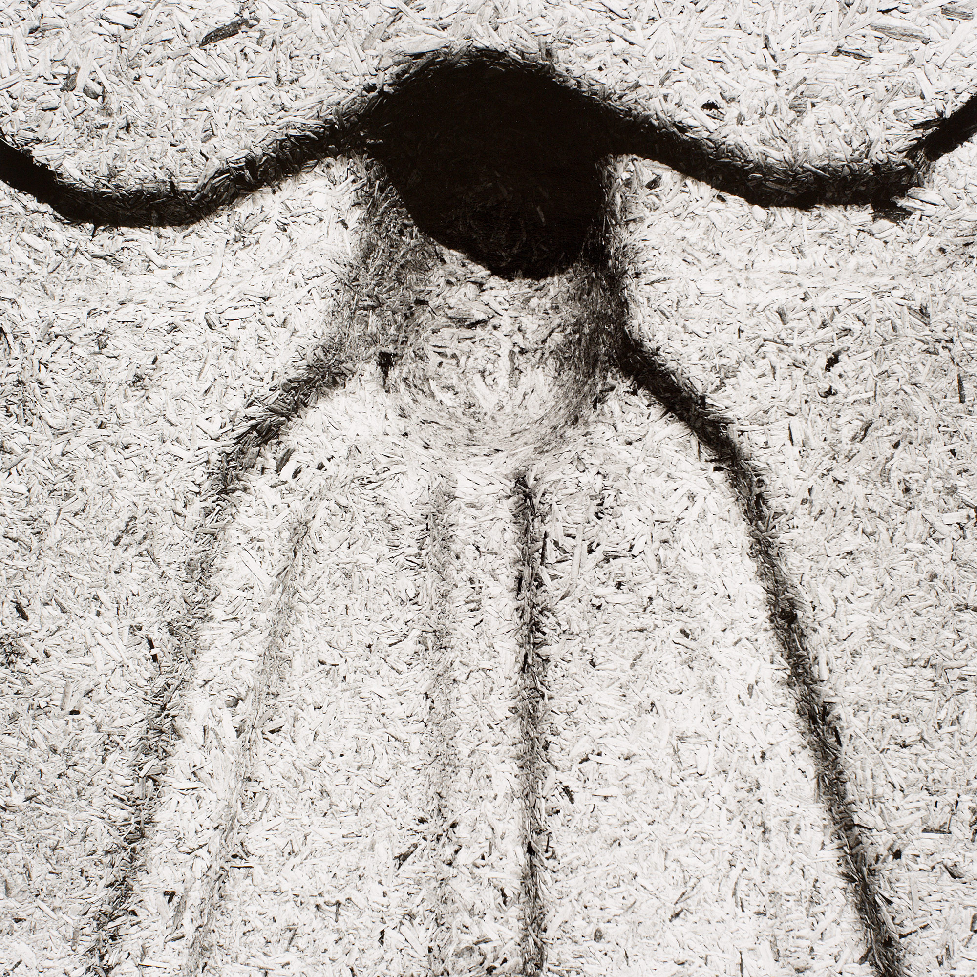 Gunter Glücklich Photography - Abstract - Portfolio