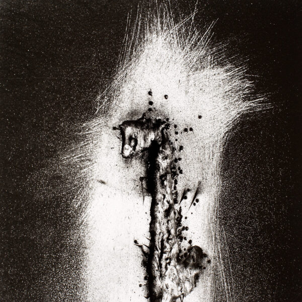 Gunter Glücklich Photography - Abstract - Portfolio