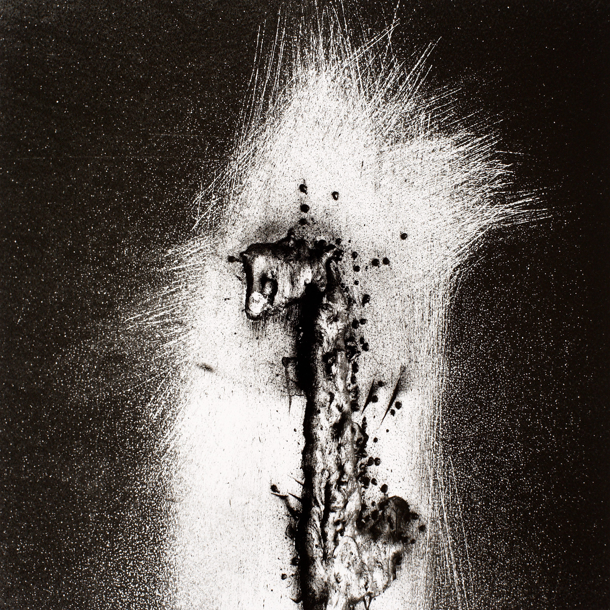 Gunter Glücklich Photography - Abstract - Portfolio