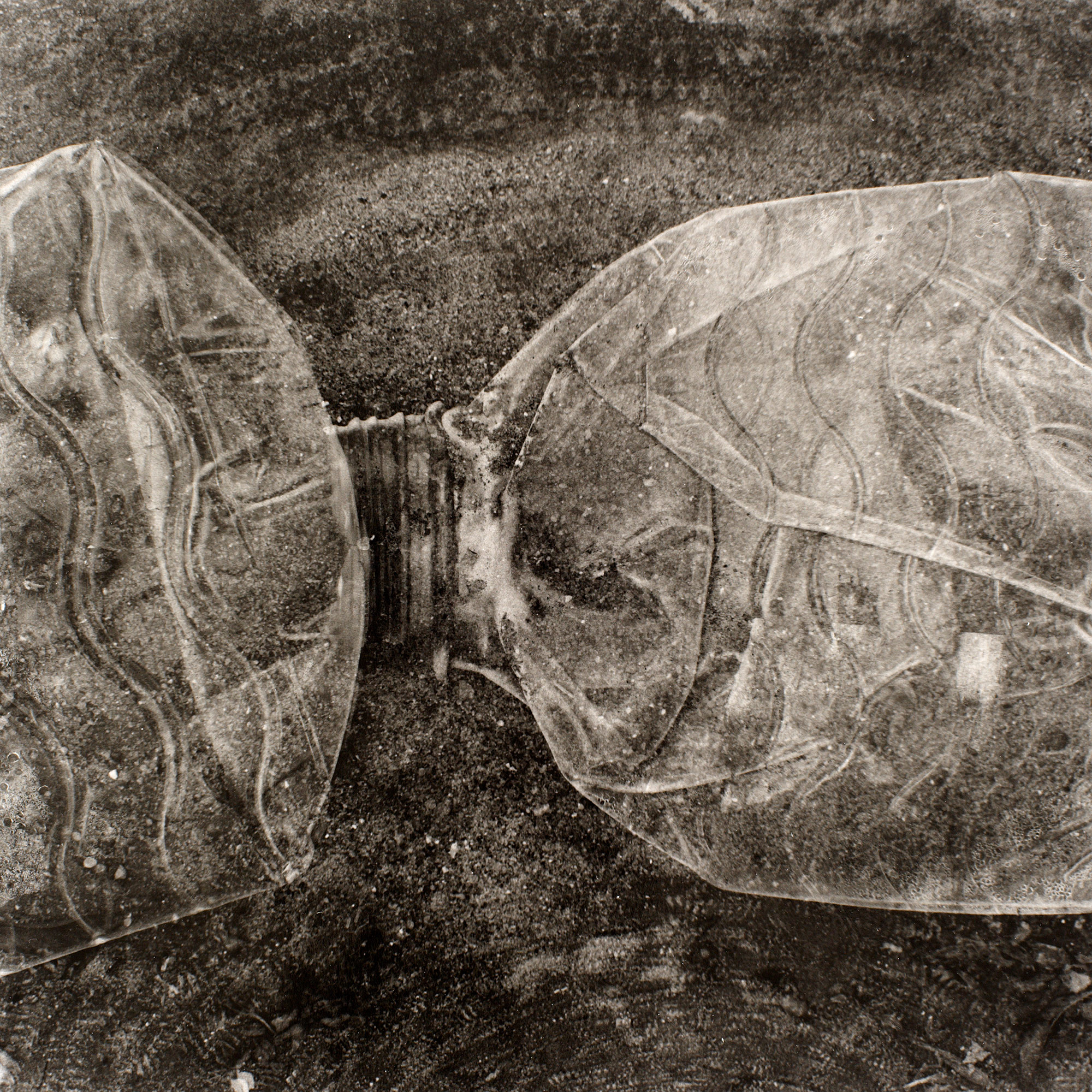 Gunter Glücklich Photography - Abstract - Portfolio