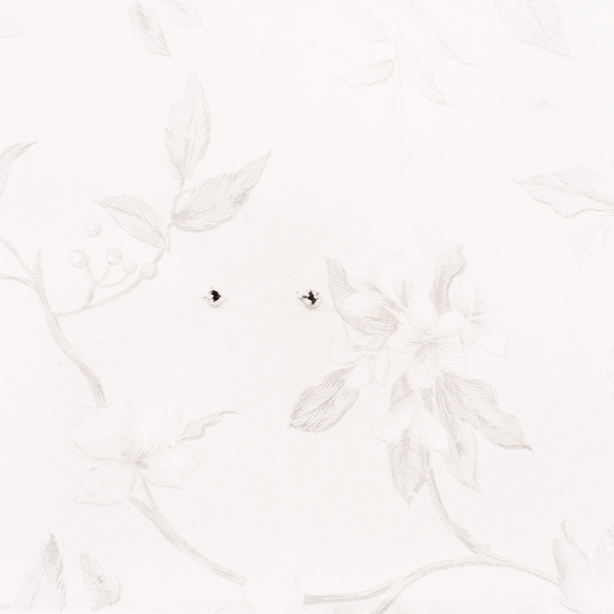 Gunter Glücklich Photography - Abstract - Portfolio