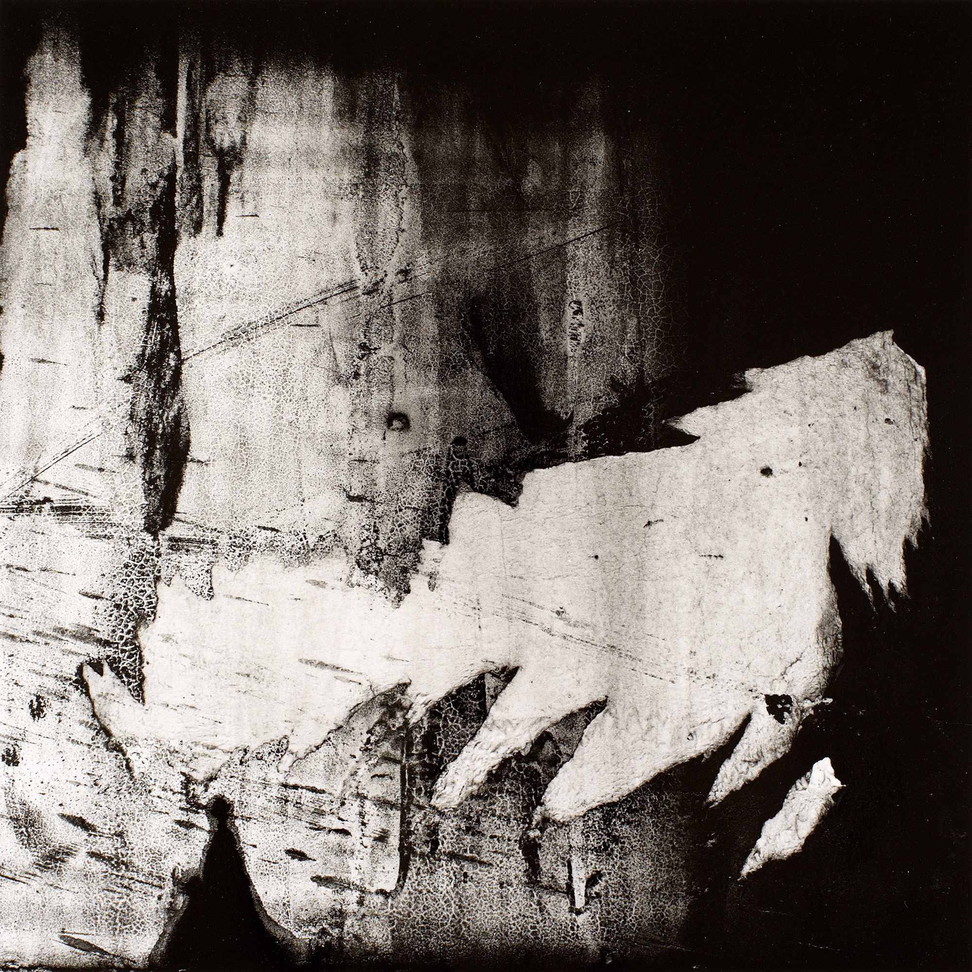 Gunter Glücklich Photography - Abstract - Portfolio