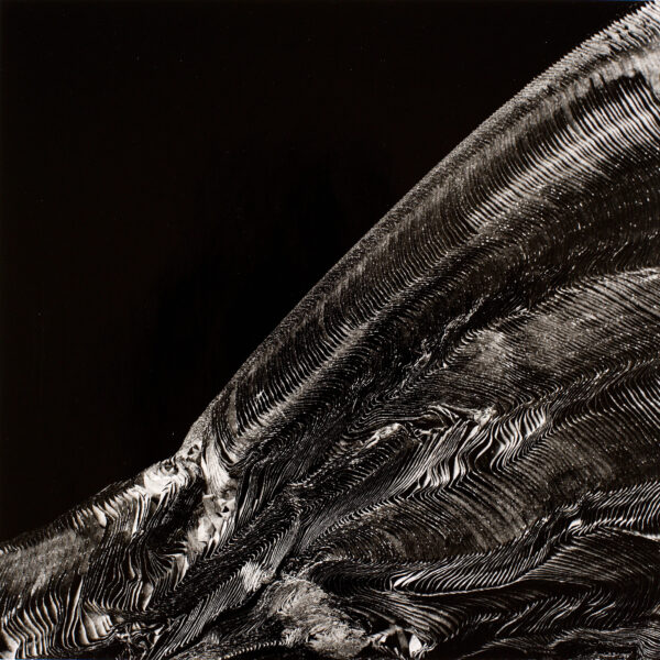 Gunter Glücklich Photography - Abstract - Portfolio