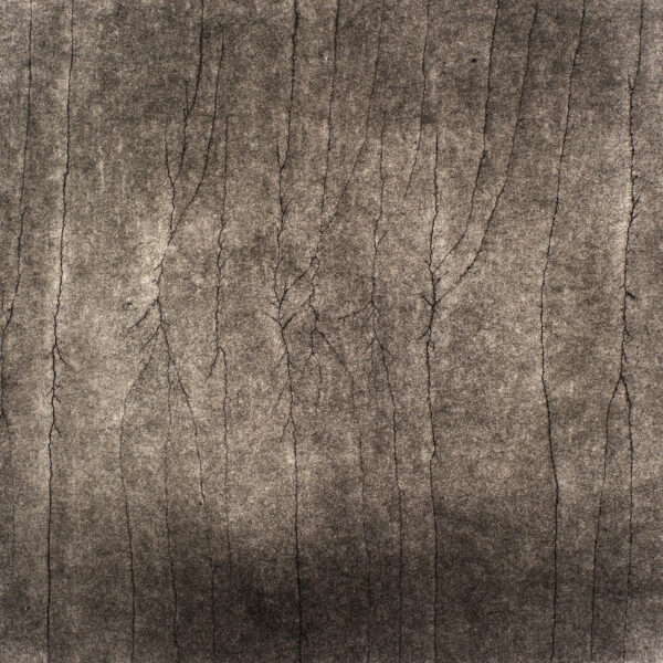 Gunter Glücklich Photography - Abstract - Portfolio