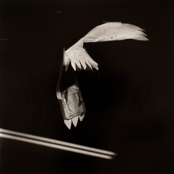 Gunter Glücklich Photography - Abstract - Portfolio