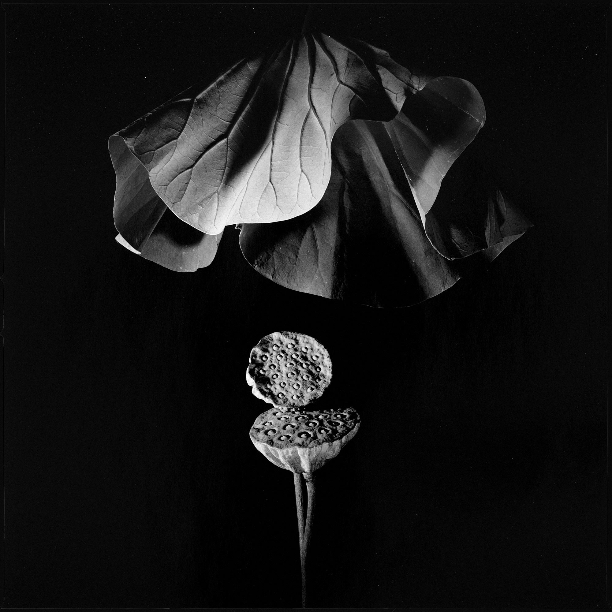 Gunter Glücklich Photography - Portfolio - Portfolio