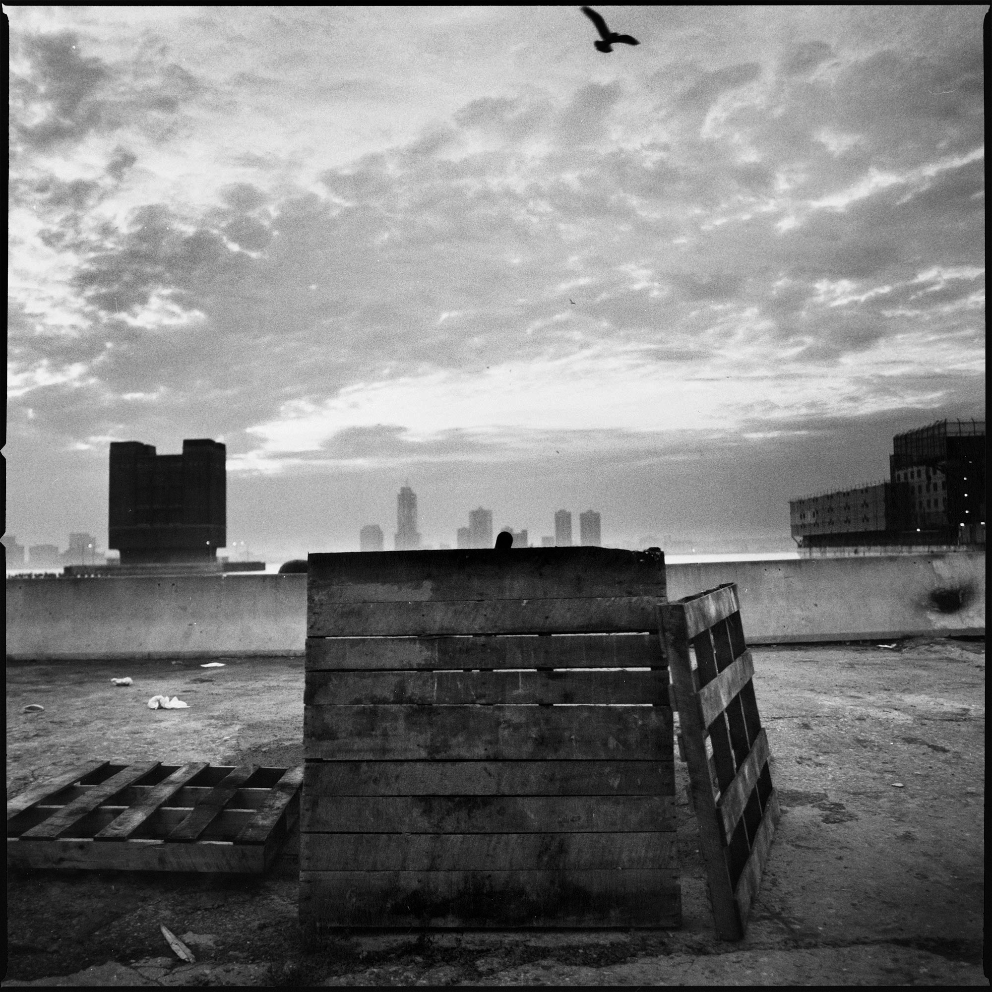 Gunter Glücklich Photography - Portfolio - Portfolio